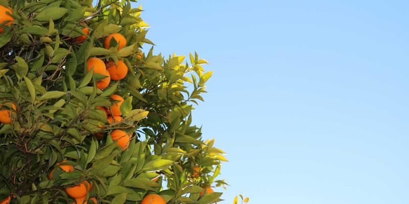 HH Ice Packs与冷链包装革新：揭秘相变材料如何延长生鲜电商保温时效与环保未来