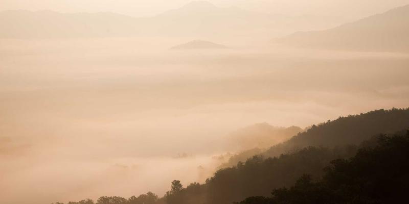 HH Ice Packs与温度控制完全指南：从入门到精通冰袋的科学与应用