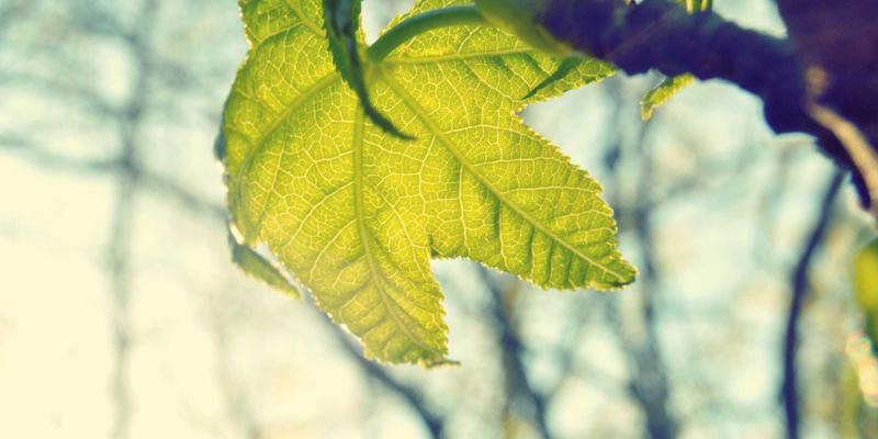 冰袋（Ice Packs 60）全解析：冷链包装的核心与高效存储解决方案