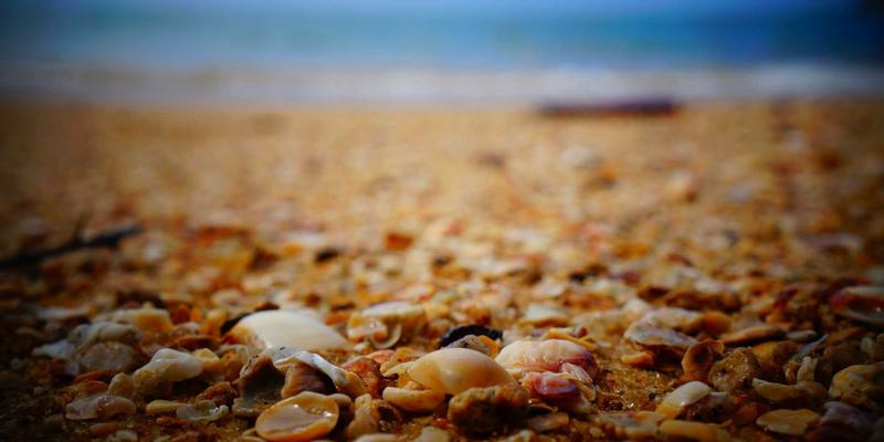 冰袋（Ice Packs）全解析：从HH Ice Packs看专业冰袋的选择与应用