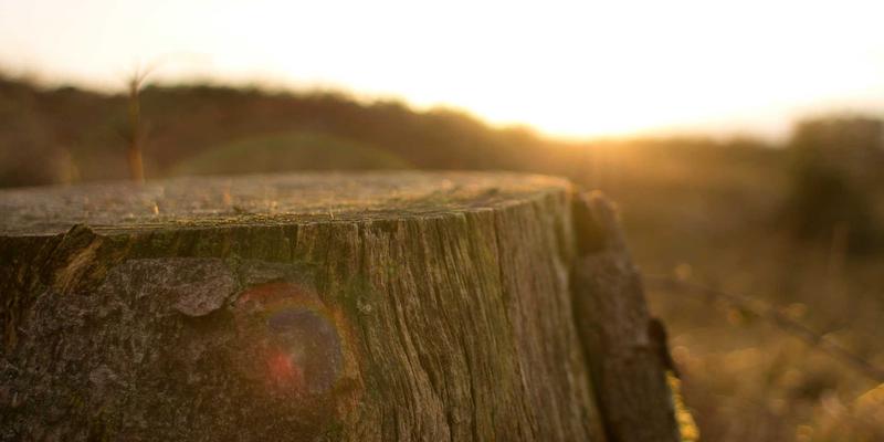 冰袋（Ice Packs）在冷链运输中的关键作用：保障品质，优化成本