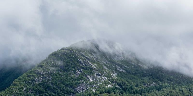 冰袋(Ice Packs)的终极指南:从正确储存到冷链包装应用