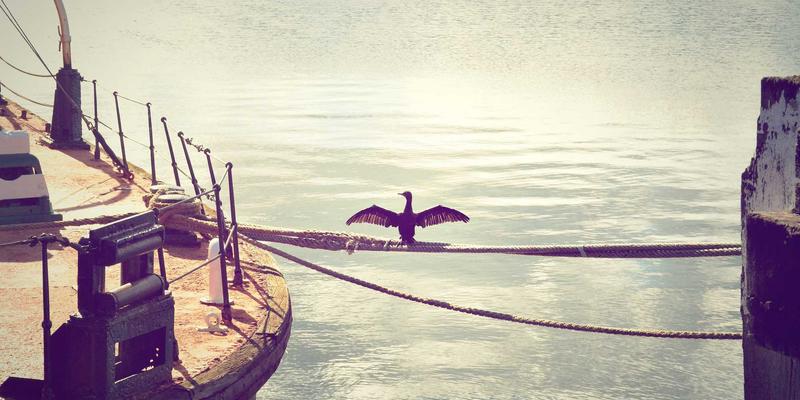 冰袋（Ice Packs）终极指南：从运输到储存的全面解决方案