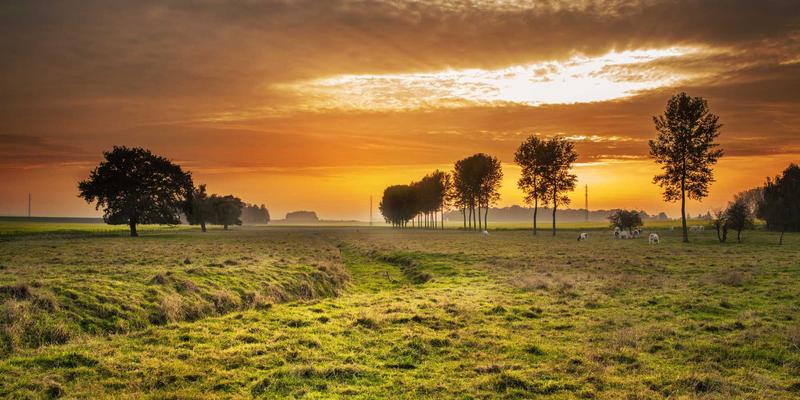 冰袋不止于“冰”：解锁HH Ice Packs等专业温控冰袋的进阶应用与科学管理