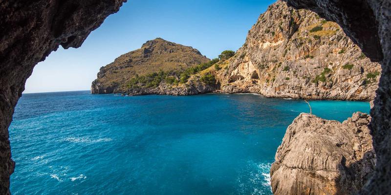 冰袋与冷链包装：现代冷链物流中不可或缺的温度守护者