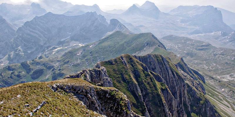 冰袋与热敷：温度控制（Temperature Control）的终极指南，从运动损伤到日常护理