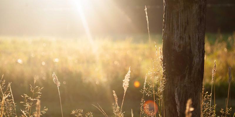 冰袋在巧克力运输中的温度梯度与品质保持：从存储到配送的精准温控策略