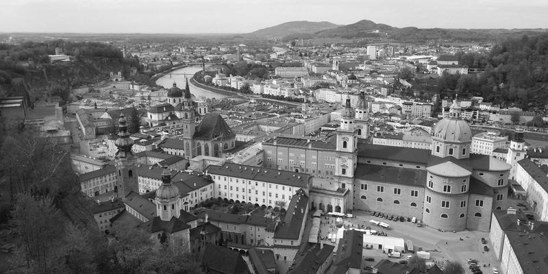 冰袋在花卉运输中的低温保鲜与乙烯抑制机制：以HH Ice Packs为例