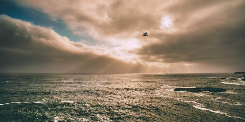 冰袋的智慧存储与高效运输：冷链包装的核心解决方案