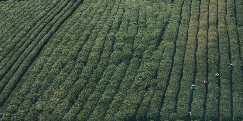 化妆品与护肤品冷链存储指南：如何用专业冰袋与包装守护活性成分