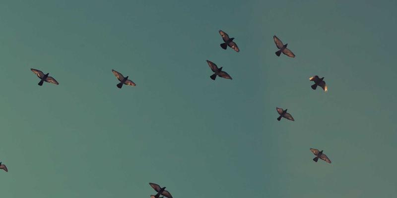 化妆品冷链运输的守护者：如何通过温度稳定性测试选择最优冷链包装