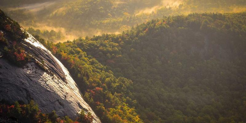 宠物护理必备：犬类术后与中暑急救的冰垫冰袋选择指南
