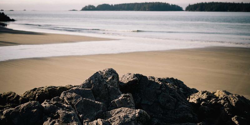 宠物术后恢复关键期：如何安全运用冷链包装（Cold Chain Packaging）进行冰袋存储与运送