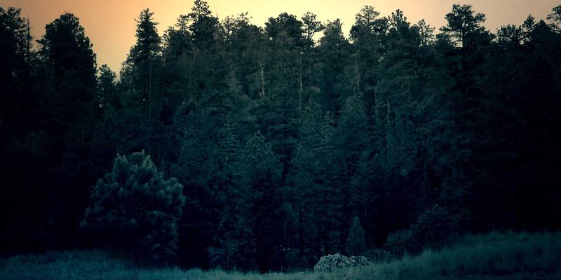 烘焙原料运输的温控挑战：冷链包装与HH Ice Packs的专业解决方案