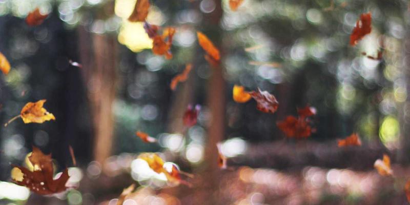 食品级冰袋选购指南：保障冷链运输安全的关键选择